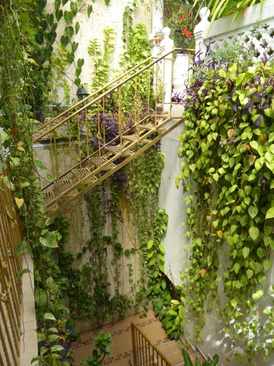 Casa Mary 호텔 Cartagena 외부 사진